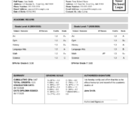 Example Transcript Example Transcript